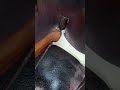 applying clear coat on access 125 #viral #trending #shorts