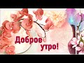 ☕️ Доброе утречко! Солнце светит ясно-ясно. Это утро так прекрасно.