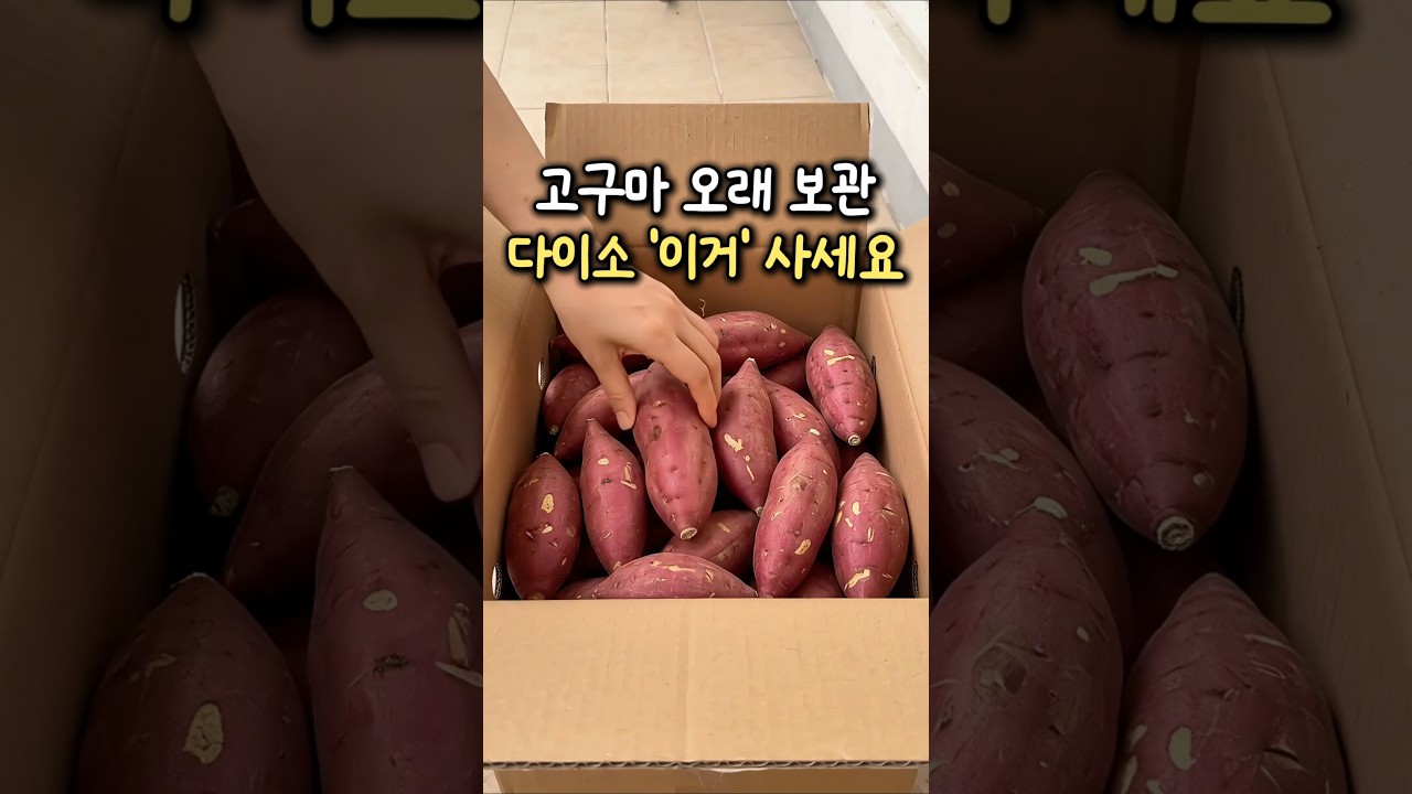 고구마 오래 보관하려면 다이소 '이것' 꼭 사오세요