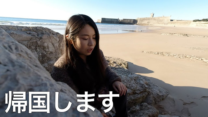 予定を変更して帰国を早めることにしました