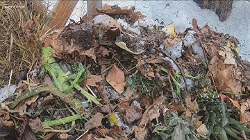 2 the Outdoors: Winter composting