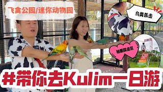 【居林最新打卡景点，迷你动物园入门只需RM10】|槟城好料