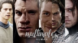 multimale | human