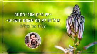 הקשיבו 🎧 כדי ללמוד על מהות החיים והמוות (אלכימיה רגשית)