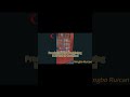Precision CNC Machining Process | Custom Parts | Ningbo Ruican