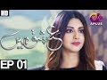 Ishq Mein- Episode 1 | Aplus ᴴᴰ - Best Pakistani Dramas