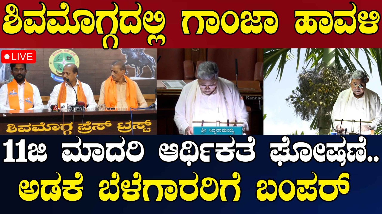 LIVE | NEWS@ 4 | ಶಿವಮೊಗ್ಗದಲ್ಲಿ ಗಾಂಜಾ ಹಾವಳಿ | 11ಜಿ ಮಾದರಿ ಆರ್ಥಿಕಥೆ ಘೋಷಣೆ..ಅಡಕೆ ಬೆಳೆಗಾರರಿಗೆ ಬಂಪರ್