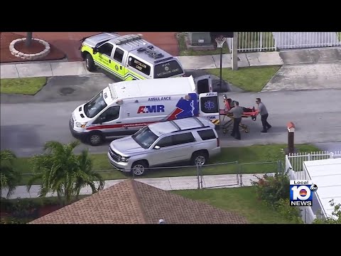 2 injured when Miami-Dade driver crashes into truck, 2 homes 