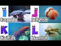 ABC Sea Animal Sounds 595TH1 | Nursery Rhyme for Kids | Koko Study Class