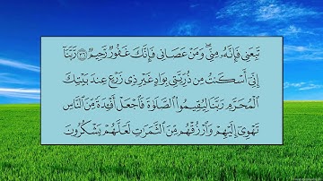 سورة إبراهيم (الآية 32 ~ الآية 52) - ياسر بن راشد الدوسري