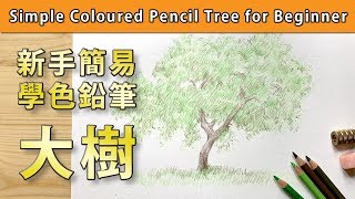 新手簡易學色鉛筆素描大樹【屯門畫室】Simple Coloured Pencil ...