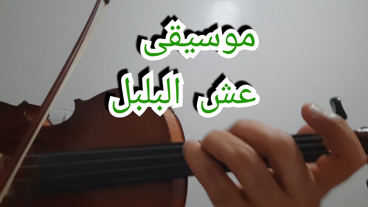 أحمد الركراكي ( عش البلبل ) لمحمد عبدالوهاب