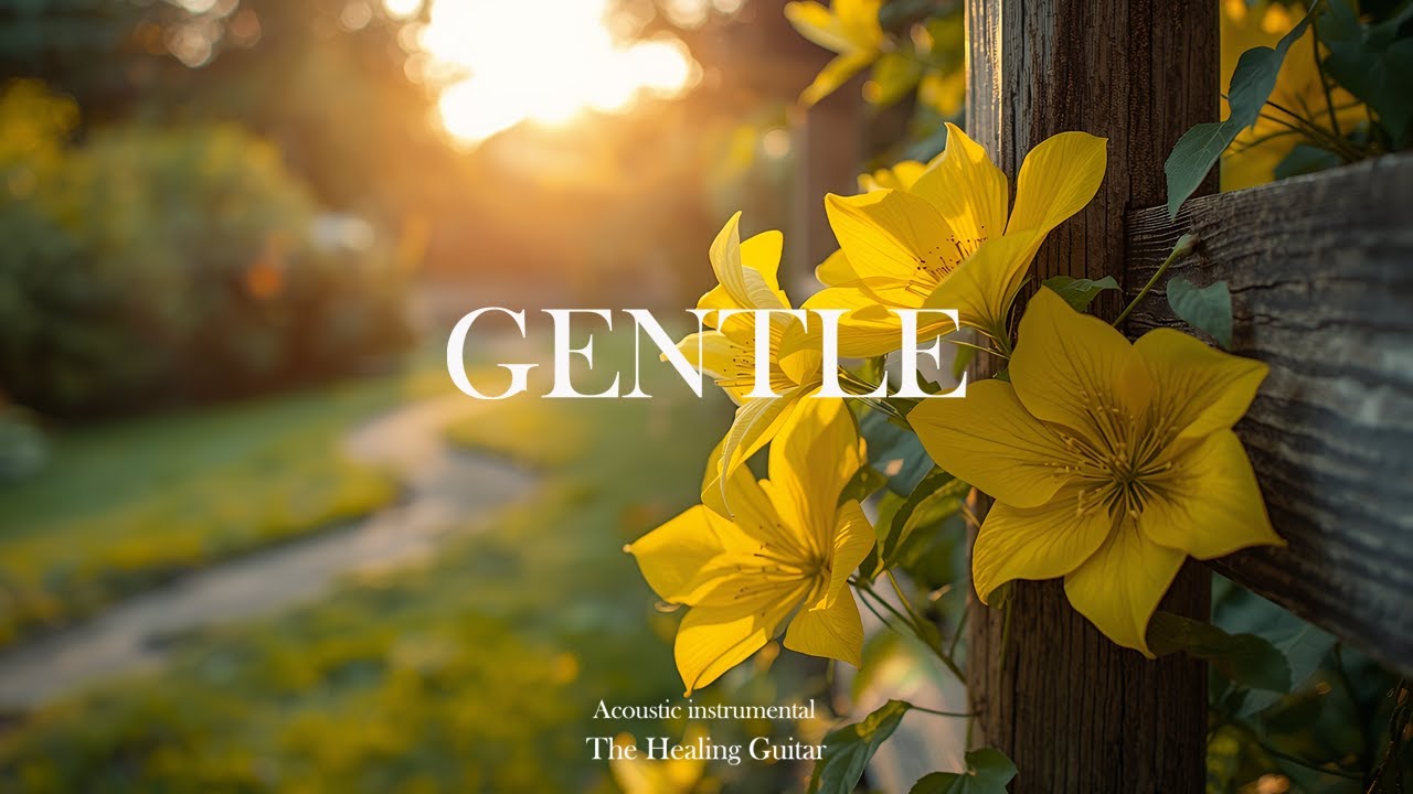 GENTLE: Soothing Guitar Music for Relaxation, Sleep & Study 🌿📖