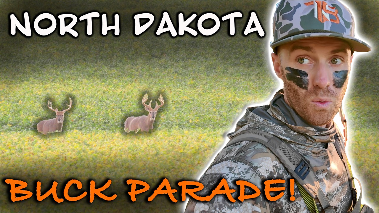 NORTH DAKOTA BOWHUNTING: THEY CAME IN ON A STRING!