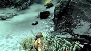 Skyrim Tera Elin Fighting A Dragon