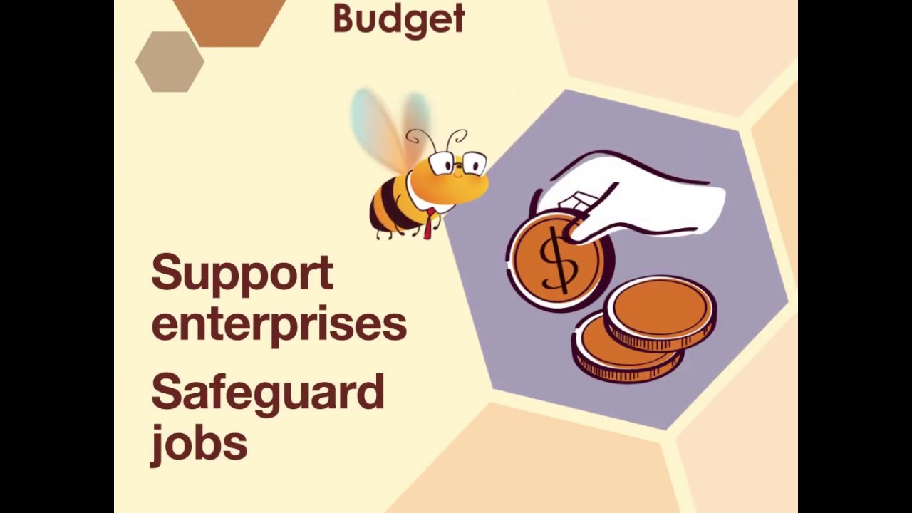 2020-21 Budget: Support enterprises Safeguard jobs