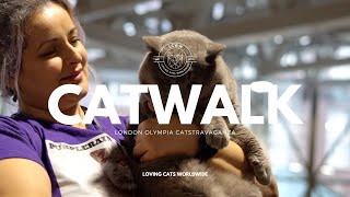 London CATstravaganza  Saturday Catwalk by Steven Meserve | Olympia 2024