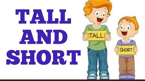 Talk and Short / Comparison for kids