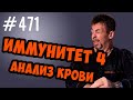 Иммунная система. анализ крови. моноциты базофилы