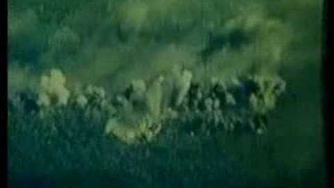 Sodom - Among The Weirdcong (Music Video)