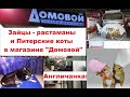 LIVE*RUSSIA: САНКТ-ПЕТЕРБУРГ: Зайцы-растаманы и питерские коты в магазине "Домовой"