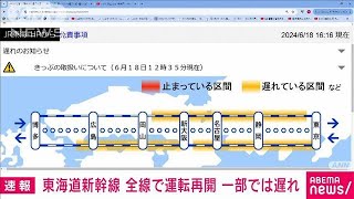 東海道新幹線が全線で運転再開　一部で遅れ(2024年6月18日)