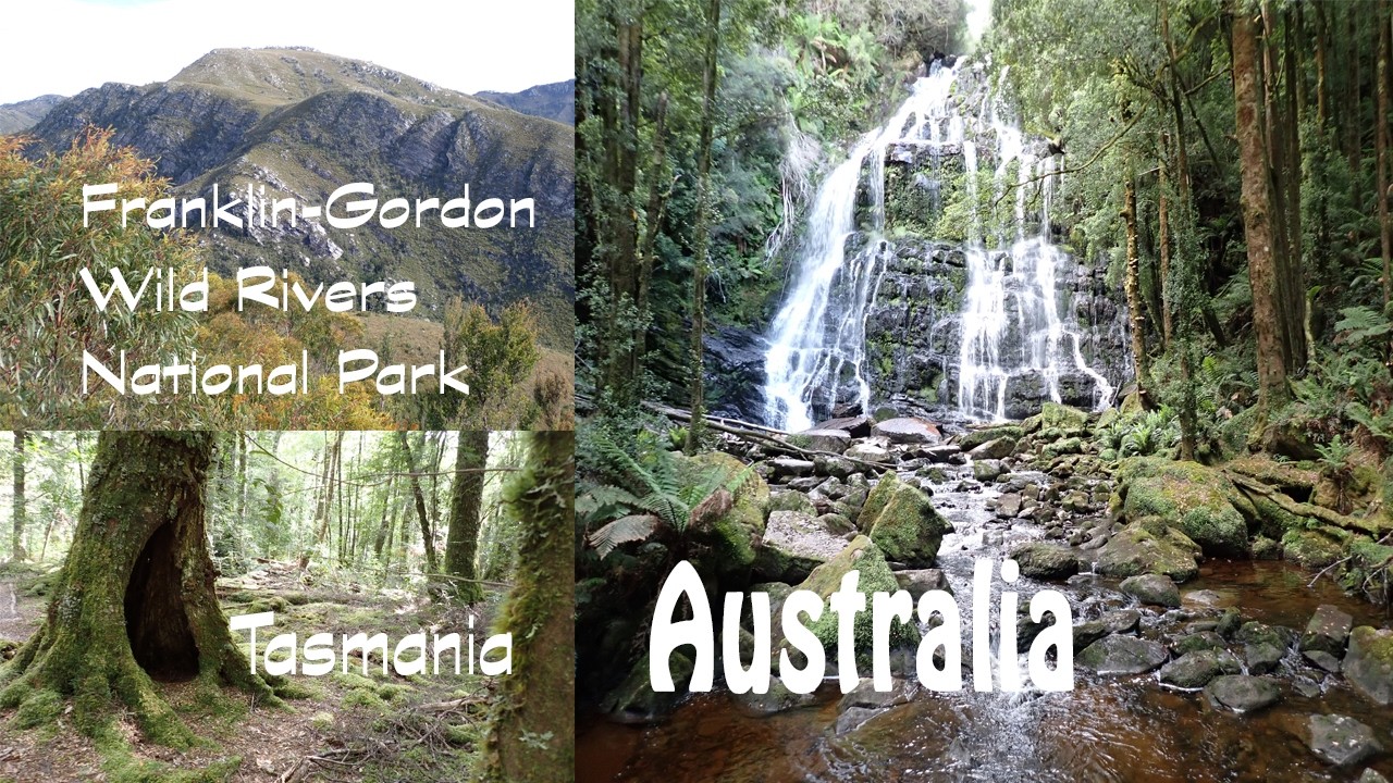 Australia | Franklin Wild River Walks | Tasmania