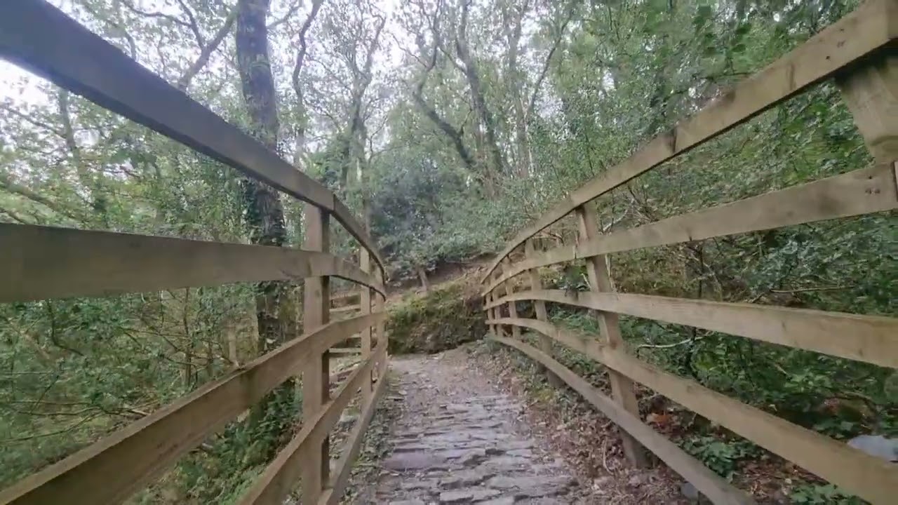 Plymbridge Woods Red Route