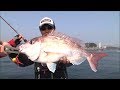 鯛ラバゲーム!鳴門海峡のマダイを狙え!/四季の釣り/2014年5月9日OA