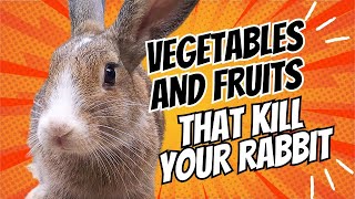 Vegetables and Fruits That Will Kill Your Rabbit!