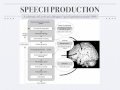 Levelt Speech Production Model