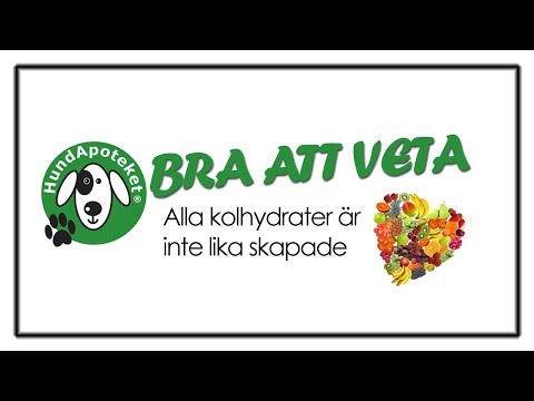 Video: Kan min hund få hantavirus?