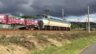 EF66 131 EL Pulling Just One Flat Car