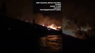 Tree set alight by fiery flames at night as British Columbia wildfires intensify #canada #wildfire