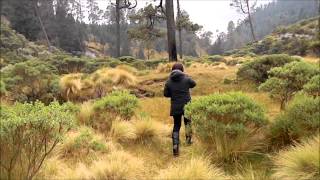 Temascaltepec Acechado Por El Crimen Organizado