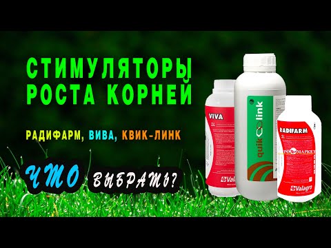 Радифарм, Вива, Квик-Линк — биостимуляторы для развития корневой системы