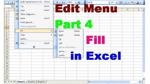7 - How to Use The Edit Menu In Ms Excel 2003 - in Urdu/Hindi - Part 4- Lunar Computer College