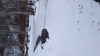 Golf cart tour of Cherokee KOA in the winter