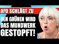 AfD Zerstört GRÜNE Brandner Zerlegt GRÜNE Runde LIVE In TALKSHOW Moderatorin Völlig Am Ende