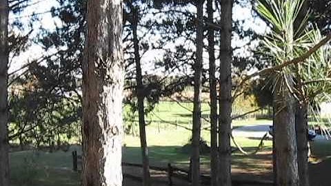 MINDSTORMS Space elevator. First try