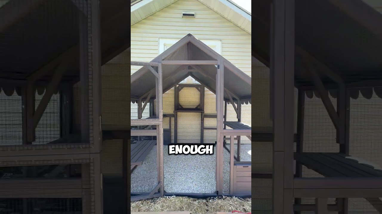 When You Realise Finally Need An Outdoor Cat Habitat Catio Catenclosure Aivituvin