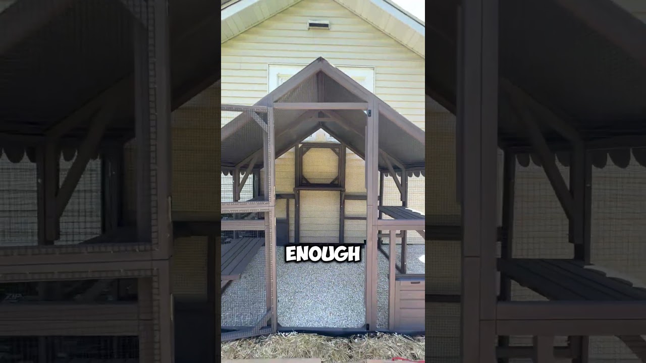 When you realise you finally need an outdoor cat habitat#catio #catenclosure #aivituvin