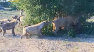 Https:youtube.com/ @Saeedfaramarzi7277?Si=Ha1Jgo97Y49Yw4Hf 🌹👋❤️ Resimi