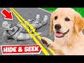 Using my PUPPY to WIN Hide &amp; Seek in Fortnite!