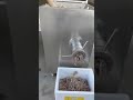 Ground Fish Feed Process #shorts #farming #machinery