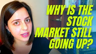 Why is the Stock Market Still Going Up?