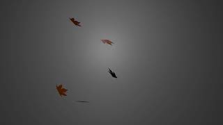 Falling Leaves Animation Video | Blender Animation