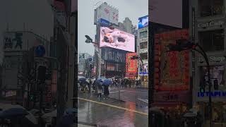 JAPAN LIFE HACK Go during Winter to avoid crowds tokyo kyoto nara osaka lifehacks