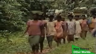 New Guinea  Other Worlds (Nature Documentary)