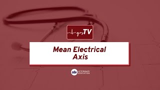 Mean Electrical Axis - qrsTV - Veterinary ECG Explained